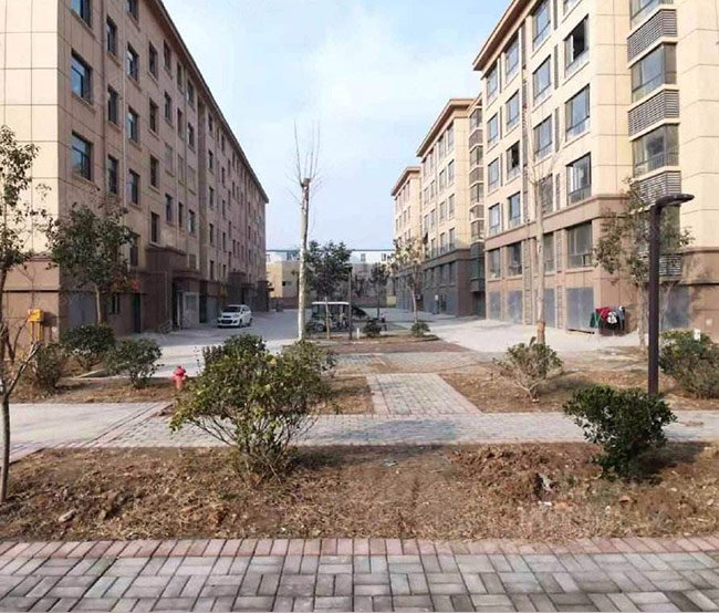 1649724700509926.jpg 2.jpg